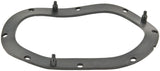 Fuel Pump Tank Seal