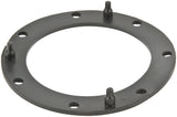 Fuel Pump Tank Seal