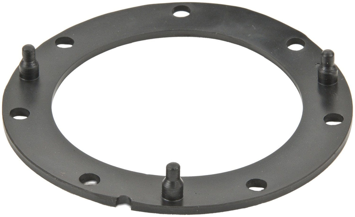 Fuel Pump Tank Seal
