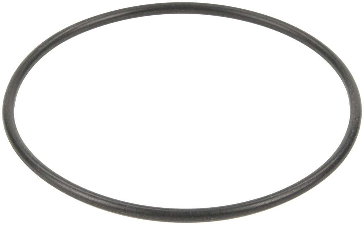 Fuel Pump Tank Seal