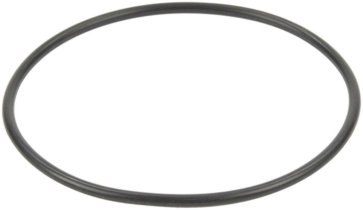 Fuel Pump Tank Seal