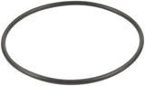 Fuel Pump Tank Seal