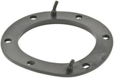 Fuel Pump Tank Seal