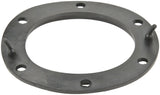 Fuel Pump Tank Seal