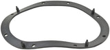 Fuel Pump Tank Seal