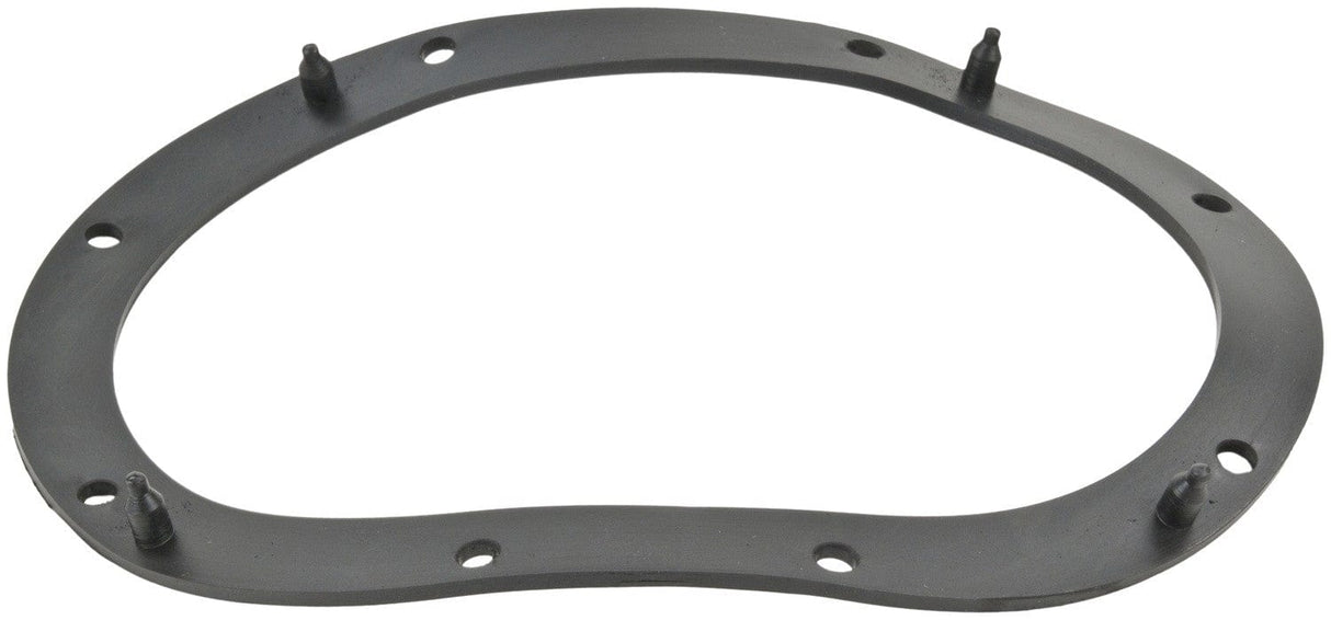 Fuel Pump Tank Seal