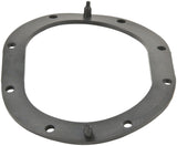Fuel Pump Tank Seal