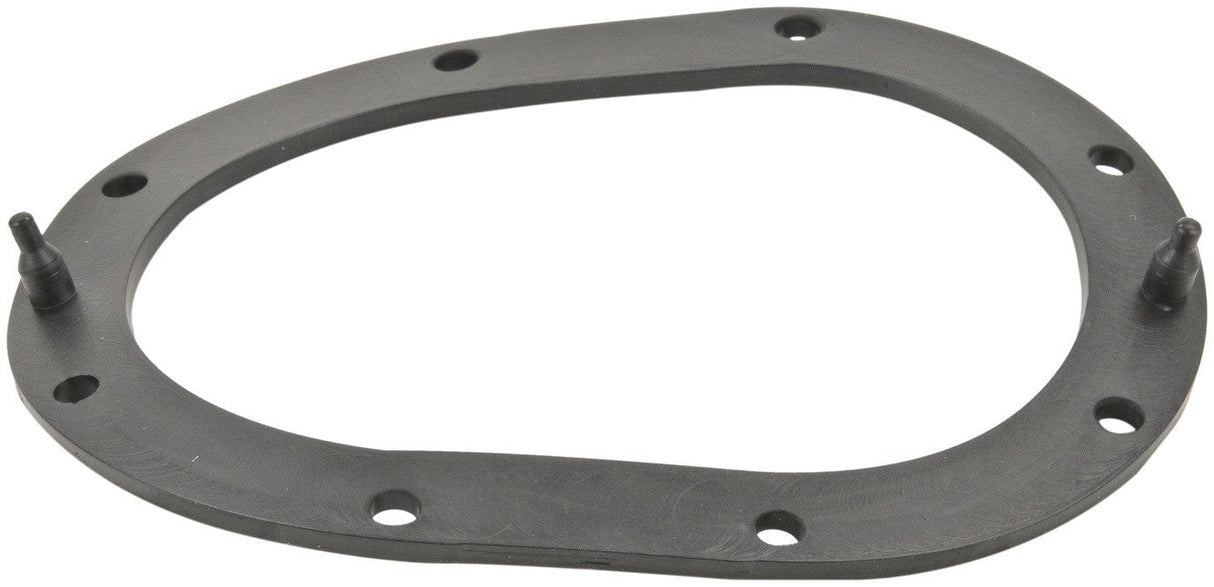 Fuel Pump Tank Seal