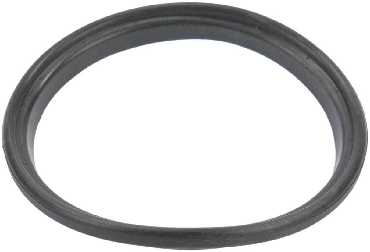 Fuel Pump Tank Seal