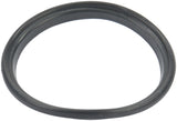 Fuel Pump Tank Seal