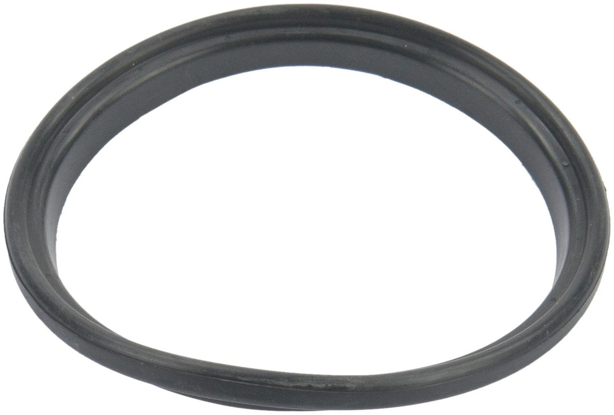 Fuel Pump Tank Seal