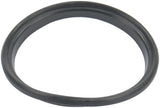 Fuel Pump Tank Seal
