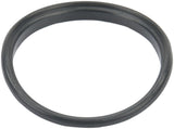 Fuel Pump Tank Seal