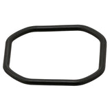 Coolant Thermostat Seal - BMW / N54 / N55