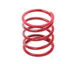 Forge Motorsport - Large Dump Valve Spring (Single)