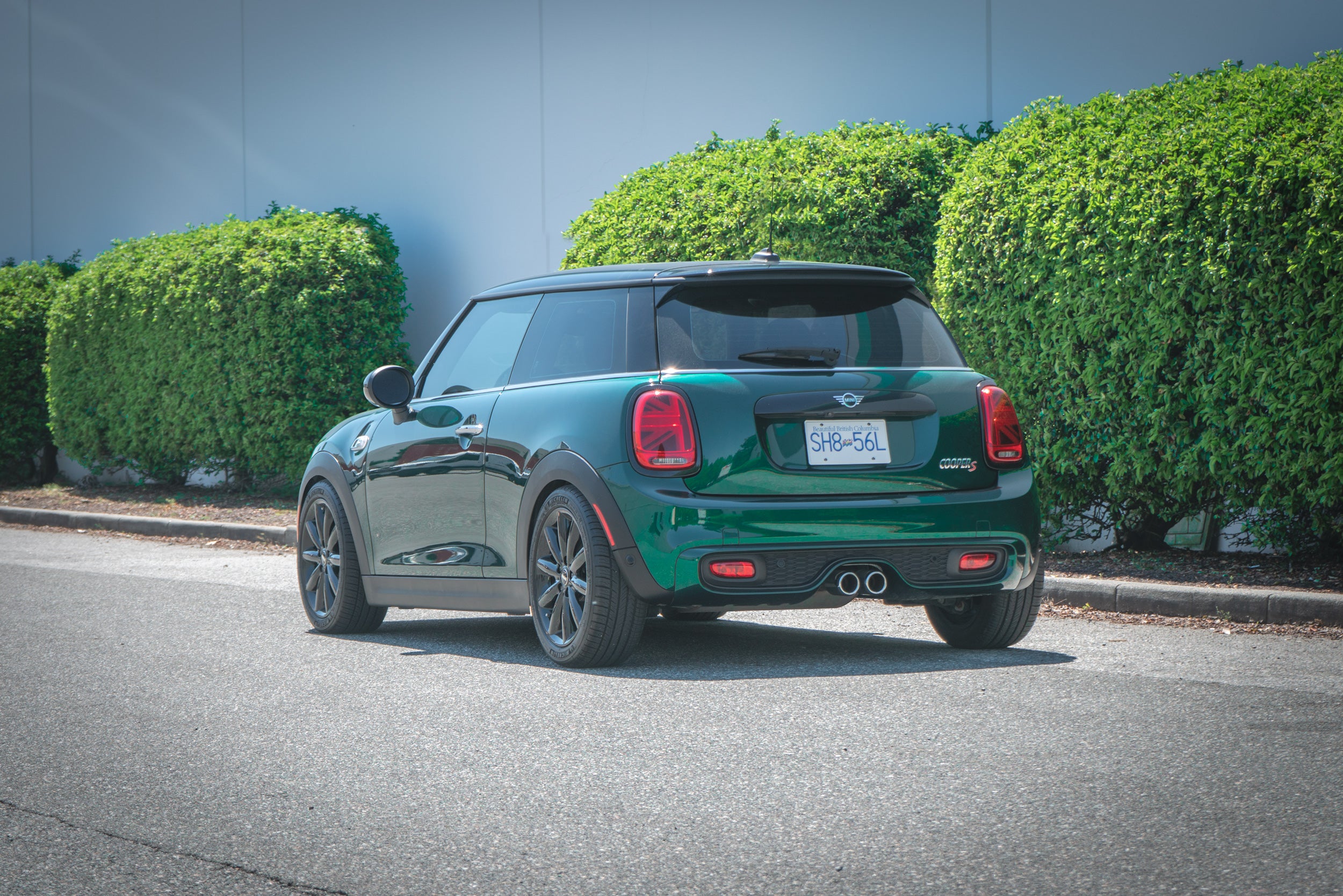 GIOMIC ジオミック LOW FORM SPRING for F56・F55 GIOMIC ジオミック LOW FORM SPRING for F56・F55