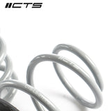 CTS Turbo Audi 8V S3/RS3 Lowering Springs