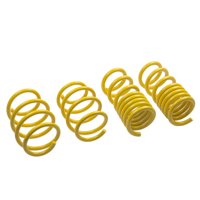 ST Suspensions Lowering Springs - Ford Mustang; V8