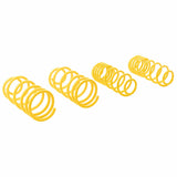 ST Suspensions Lowering Springs - 99-05 VW Golf IV, 98-10 Beetle, 03-10 Beetle Convertible / 00-06 Audi TT + TT Roadster (8N) 2WD
