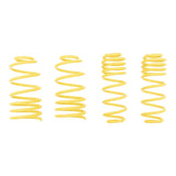 ST Suspensions Lowering Springs - 98-05 VW Golf IV, 98-10 Beetle, 03-10 Beetle Convertible / Audi TT + TT Roadster (8N) 2WD