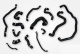 do88 BMW 135i 335i E82 E90 (N54) Coolant Hoses