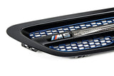 IND Painted Side Grille Set - BMW / F10 / M5
