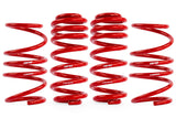 APR Roll-Control Lowering Springs - VW / Mk8 / Golf R