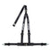Sparco 2 Inch 3 Point Harness