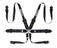 Sparco 6 Point 3in to 2in Hans Harness - (NLA)