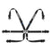 Sparco Hans 3in Pull Down Cam-Lock Harness - (NLA)