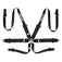 Sparco 3in to 2in Hans 6 point Harness - (NLA)