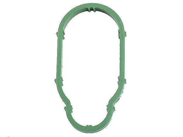 Lower Intake Manifold Gasket