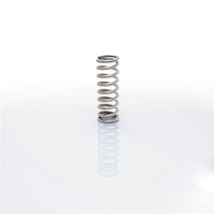 Eibach ERS 3.00" I.D. | 8inch Length | 500lbs/inch