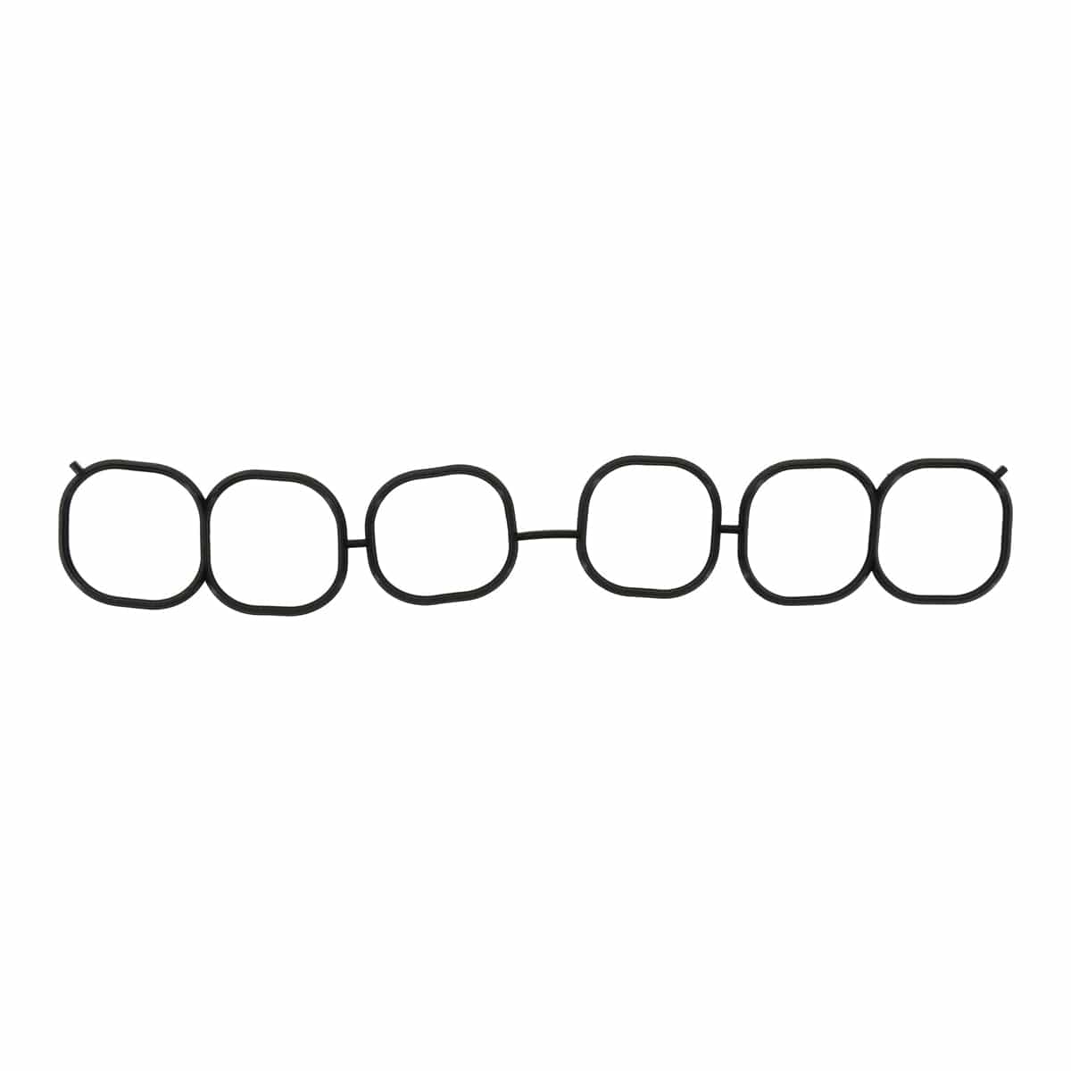 Fuel Injection Plenum Gasket
