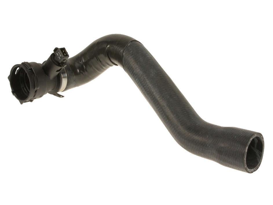 Radiator Hose Lower - BMW E46 M3