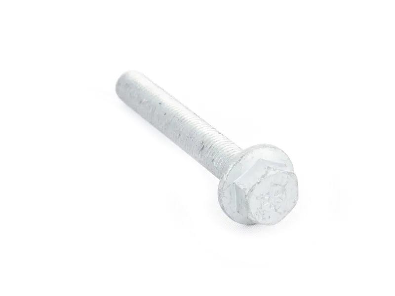 Bolt (N10784701)