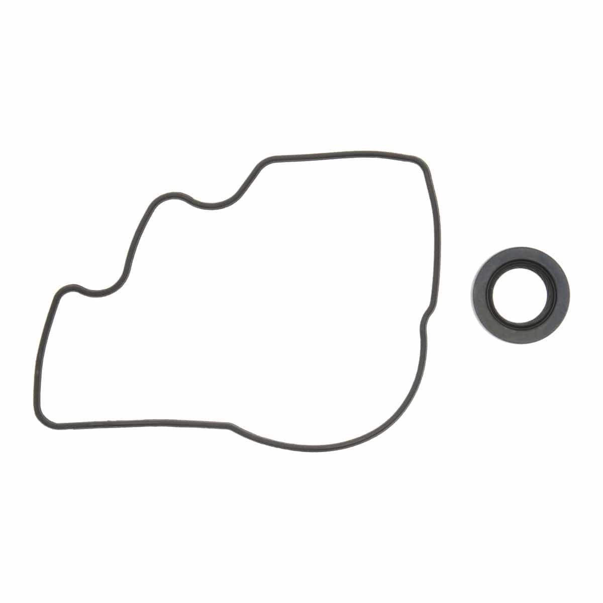 Engine Oil Pump Gasket