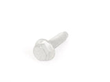 Bolt (P/N N10321802)