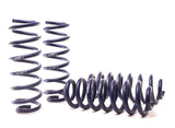 H&R Raising Spring Set - Audi Q5