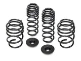 Neuspeed Sport Spring Kit