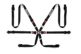 Sparco Belt 6 Point Harness - (NLA)