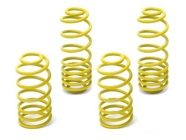 NEUSPEED Race Springs Kit - VW Mk4 Jetta VR6