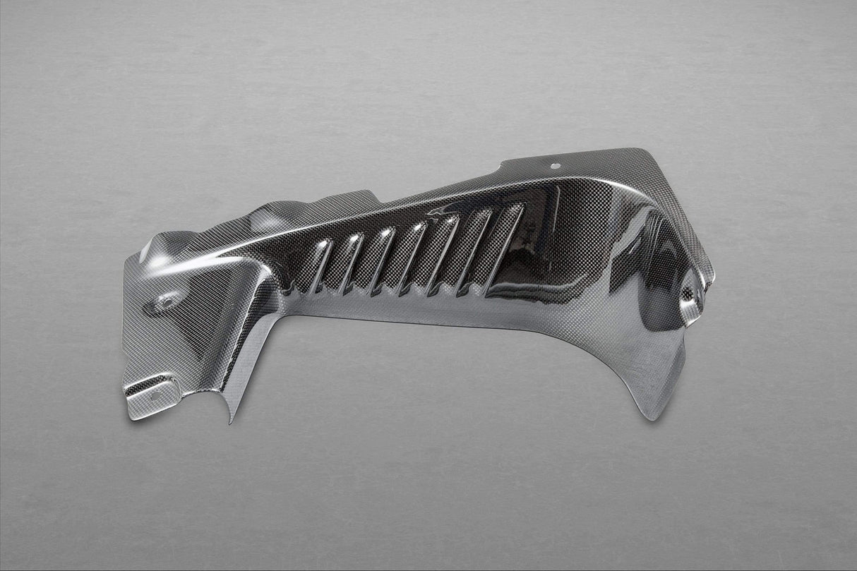 Ferrari 458 Spider Side Engine Compartment Covers (Spider ONLY)