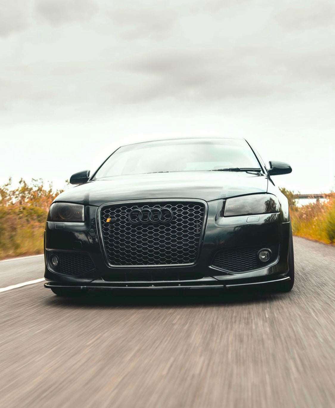 Audi RS4 Honeycomb Grille Quattro | (2004-2007) B7 A4