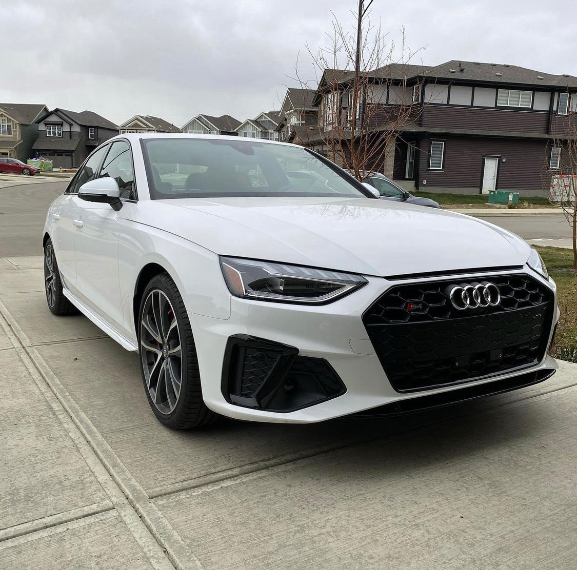Audi RS4 Honeycomb Front Grille | (2020-2022) B9.5 A4/S4