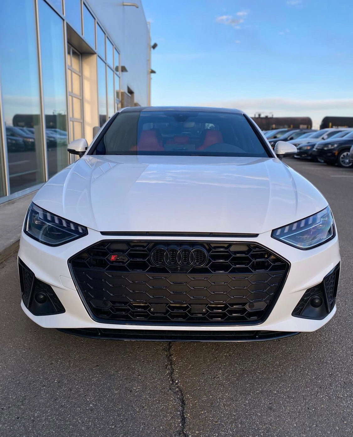 Audi RS4 Honeycomb Front Grille | (2020-2022) B9.5 A4/S4