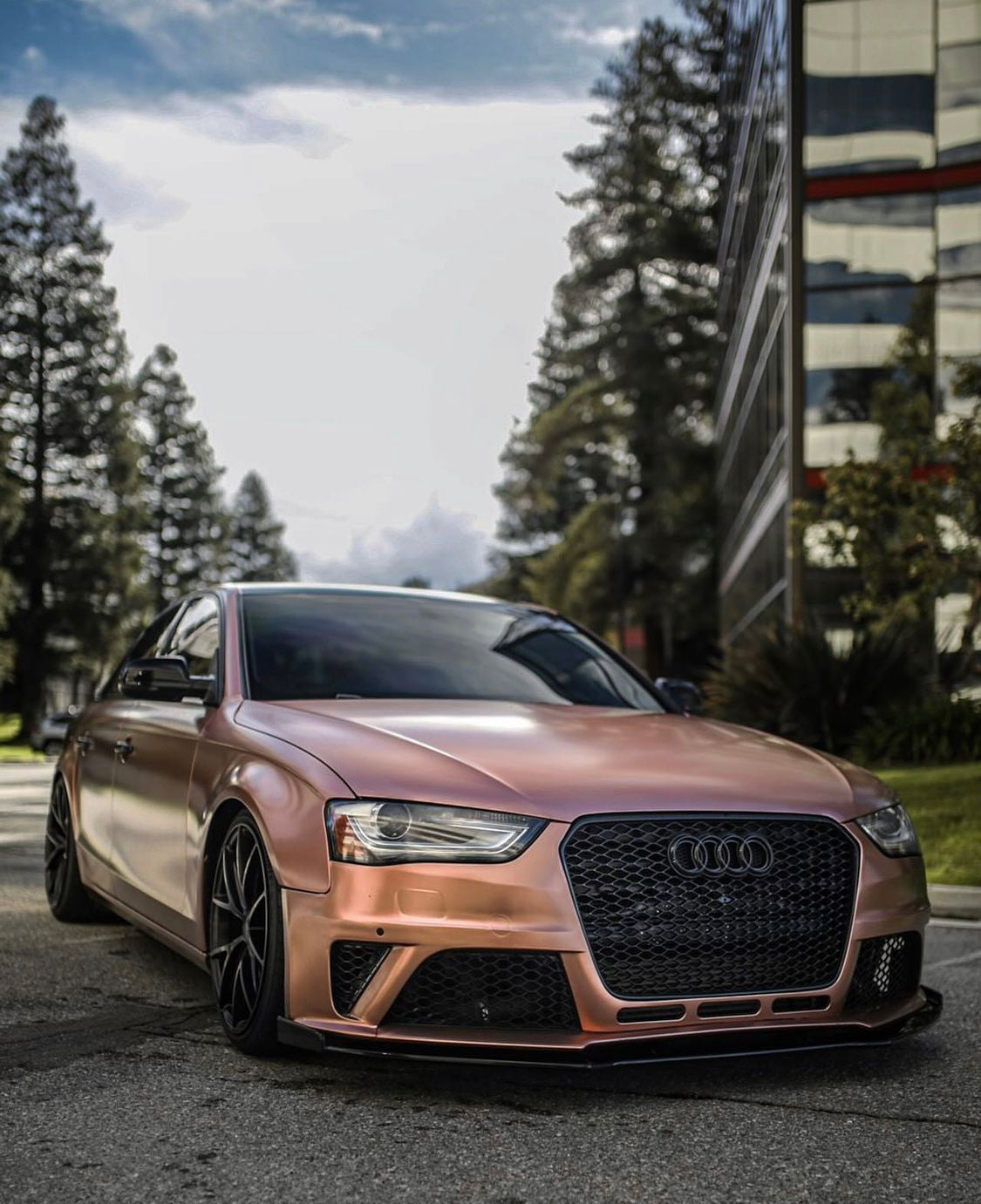 Audi RS4 Honeycomb Front Grille | (2013-2016) B8.5 A4/S4