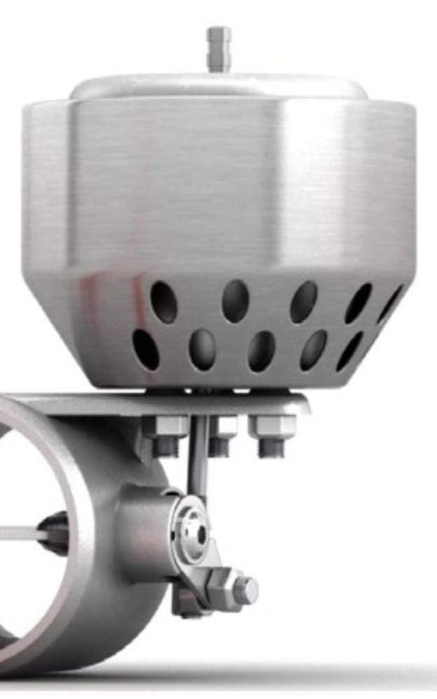 Capristo Valve Diaphragm (Replacement Part)