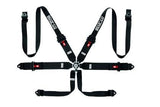 Sparco Belt 6 Point Harness - (NLA)
