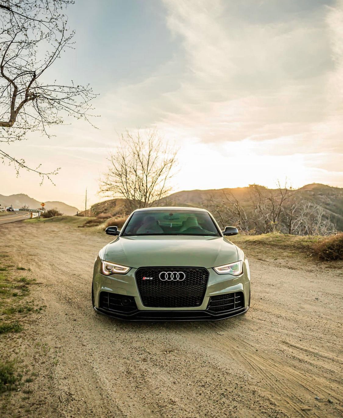 Audi RS5 Honeycomb Front Grille | (2013-2016) B8.5 A5/S5